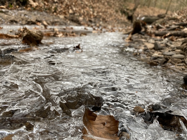 5E1776BB-ABD3-4ED3-AD09-2EDFFE53C294