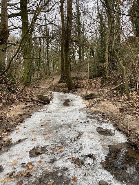 AB9B4EB9-6113-4D41-8491-3A990FEC7A78